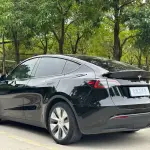 Tesla Model Y 2022 264 л.с. — лот 56722228 из Китая