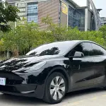 Tesla Model Y 2022 264 л.с. — лот 56722228 из Китая