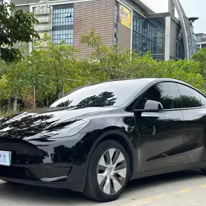 Tesla Model Y 2022 264 л.с. — лот 56722228 из Китая