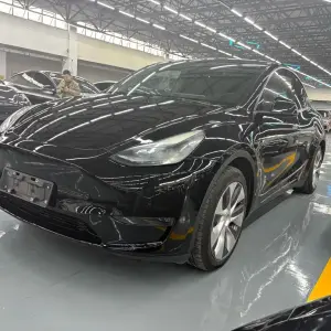 Tesla Model Y 2021 лот 56990788 из Китая