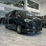沃森威尔 沃森威尔福特黑武士 2025 из Китая
