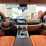 沃森威尔 沃森威尔福特黑武士 2025 из Китая