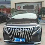 GAC Motor Trumpchi M8 2021 из Китая