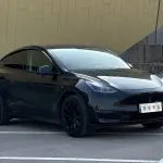 Tesla Model Y 2022 лот 56753551 из Китая