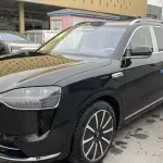 AITO 问界 AITO M9 из Китая