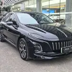 Hongqi Hongqi E-QM5 2023 из Китая