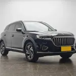 Hongqi Hongqi HS5 2022 224 л.с. 224 л.с. 224 л.с. из Китая