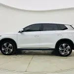 BYD Pro New Energy 2024 из Китая