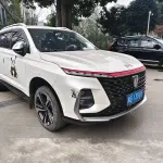 Roewe RX5 MAX 2023 из Китая