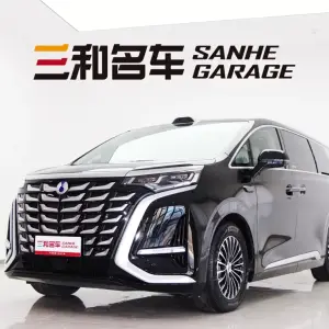 Denza Denza D9 2025 из Китая
