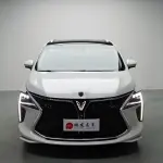 Fengxing Fengxing Yacht 2024 из Китая