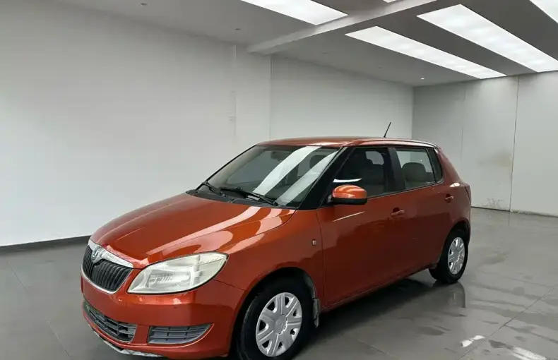 Skoda Fabia 2012 из Китая