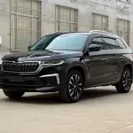 Skoda Kodiaq 2022 186 л.с. 186 л.с. из Китая