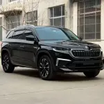 Skoda Kodiaq 2022 186 л.с. 186 л.с. из Китая