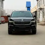 Skoda Kodiaq 2022 186 л.с. 186 л.с. из Китая
