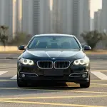 BMW 5 Series 2015 из Китая