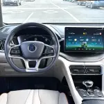 BYD PLUS New Energy 2022 из Китая