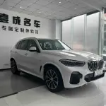 BMW X5 (Import) 2020 340 л.с. 340 л.с. 340 л.с. из Китая