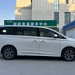 GAC Motor Trumpchi M8 2024 из Китая