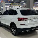 Skoda Kamiq 2023 из Китая