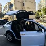 Tesla Model X 2018 из Китая