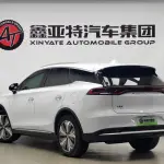 BYD Tang New Energy 2021 из Китая
