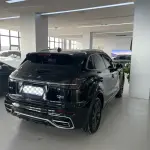 Hongqi Hongqi HS5 2024 из Китая