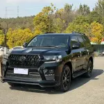 Toyota Land Cruiser 2020 из Китая
