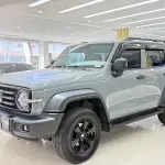 Tank Tank 300 2023 из Китая
