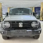 Tank Tank 300 2023 из Китая