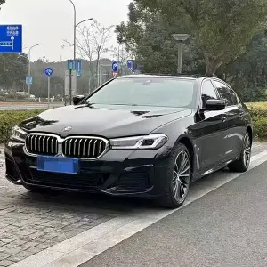 BMW 5 Series 2020 из Китая