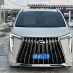 GAC Motor Trumpchi M8 2023 из Китая