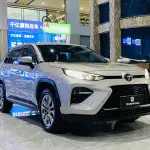Toyota Wildlander 2021 из Китая