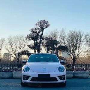 Volkswagen Beetle 2016 210 л.с. из Китая