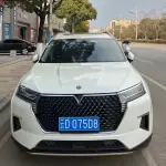 Venucia Star 2021 из Китая