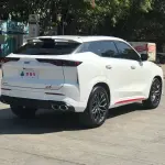 Oshan Oushang Z6 2024 из Китая