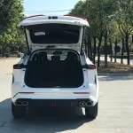 Oshan Oushang Z6 2024 из Китая