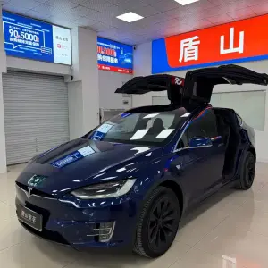 Tesla Model X 2019 из Китая