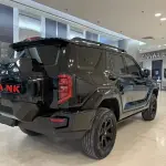 Tank Tank 400 New Energy 2024 из Китая