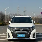 GAC Motor Trumpchi M8 2020 из Китая