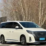 GAC Motor Trumpchi M8 2020 из Китая