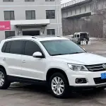 Volkswagen Tiguan 2012 из Китая