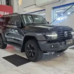 Tank Tank 300 2022 из Китая