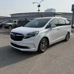 Buick GL8 2022 из Китая