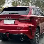 SWM SWM G01 2020 из Китая