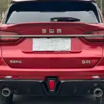 SWM SWM G01 2020 из Китая