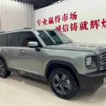 Haval Menglong New Energy 2024 из Китая