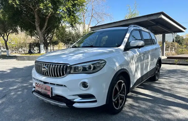 SWM SWM X7 2019 из Китая