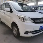 Oshan Oulove 2015 из Китая