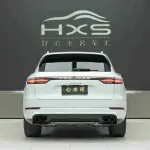 Porsche Cayenne 2021 из Китая